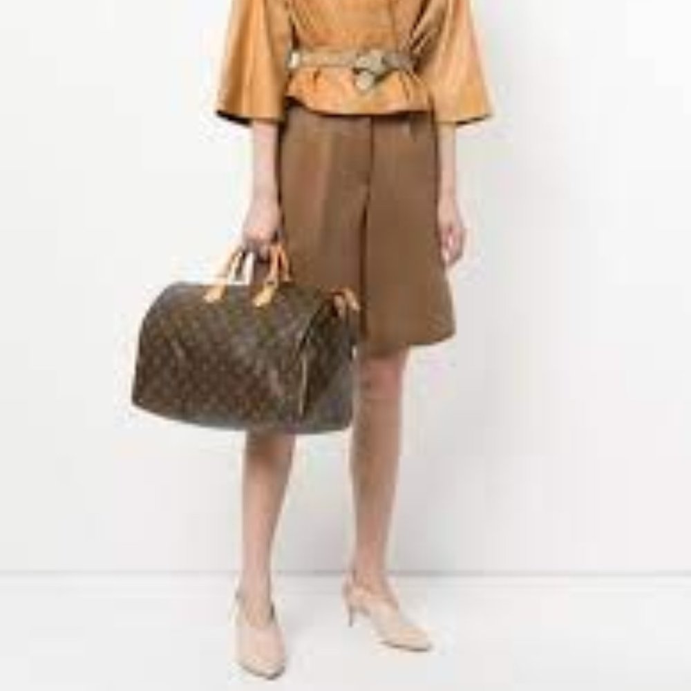 Louis Vuitton LV Hand Bag Speedy 40 Browns Monogram